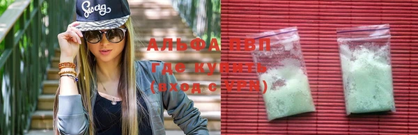 индика Бронницы