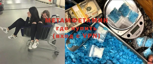 индика Бронницы