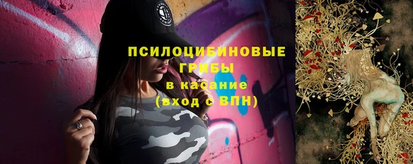 мет Белокуриха