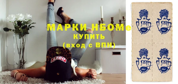 индика Бронницы