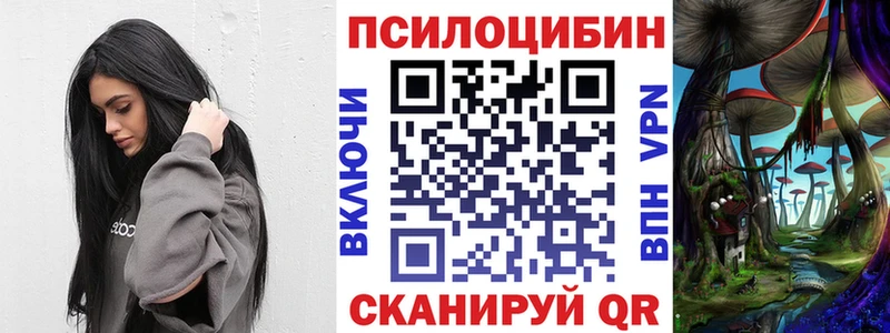 Галлюциногенные грибы Psilocybine cubensis  Воскресенск 