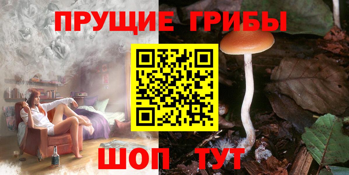 Воскресенск  Галлюциногенные грибы GOLDEN TEACHER  Вход с VPN 